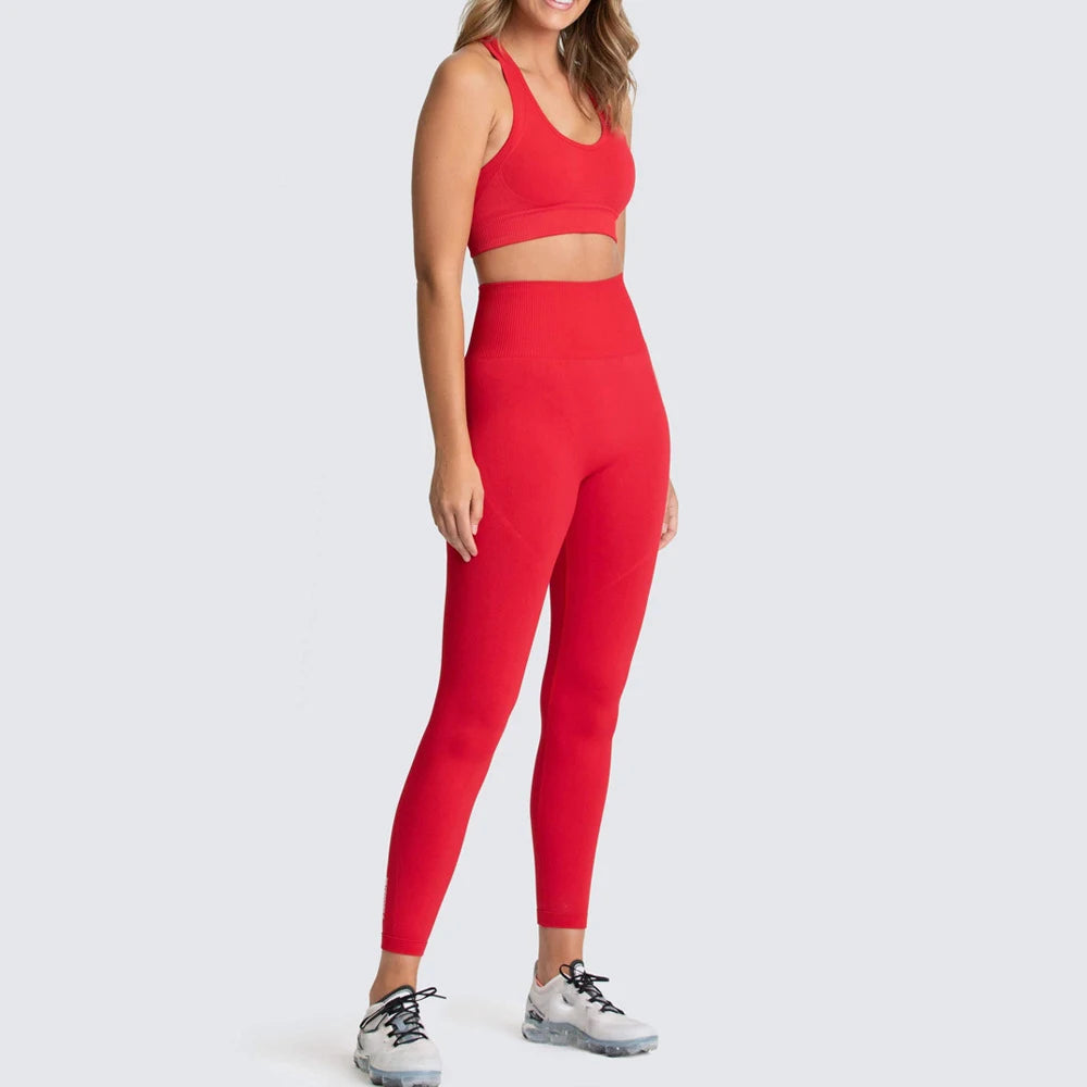 Seamless Yoga Set Gym Active Wear