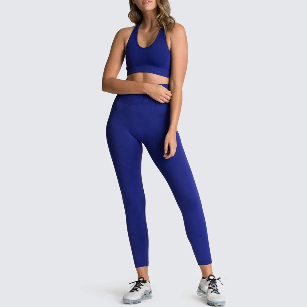 Seamless Yoga Set Gym Active Wear