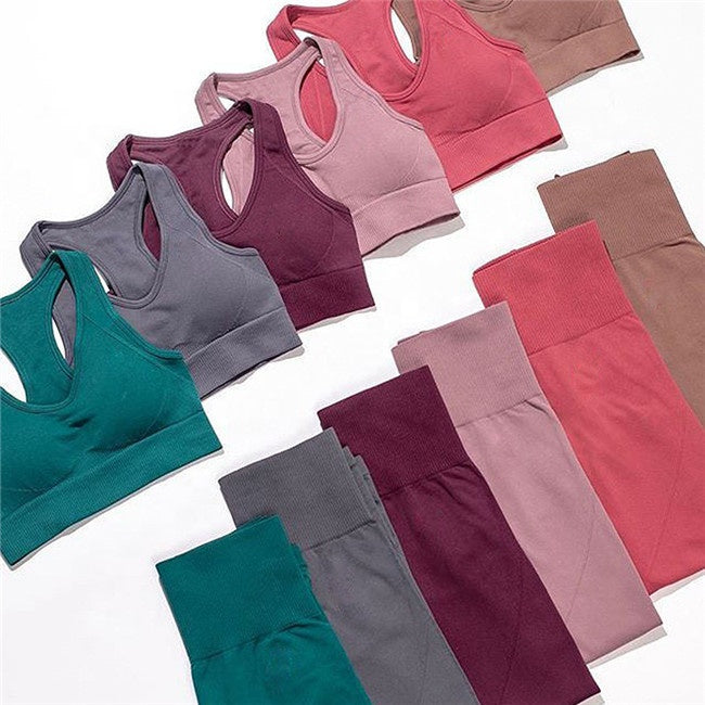 Seamless Yoga Set Gym Active Wear